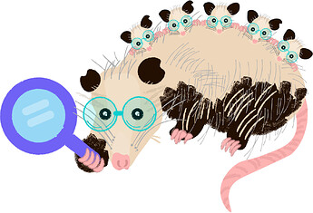 GOSH_-Didelphimorphia_Opossum