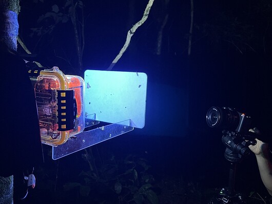 Photo of a Mothbox on the first night of the expedition.