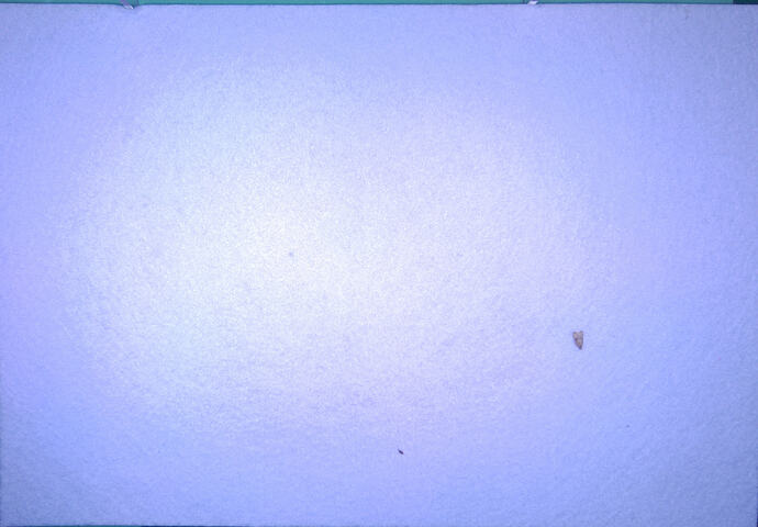 lateBoto_2026_01_13__20_02_07_HDR0