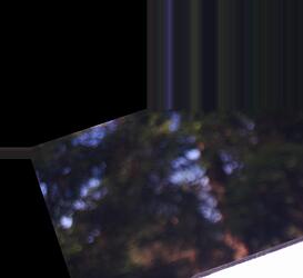 keyTitira_2026_05_26__19_02_23_HDR0_4_Mothbot_yolo11m_4500_imgsz1600_b1_2024-01-18.pt
