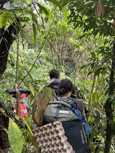 Photo of our team trekking through Cerro Hoya National Park