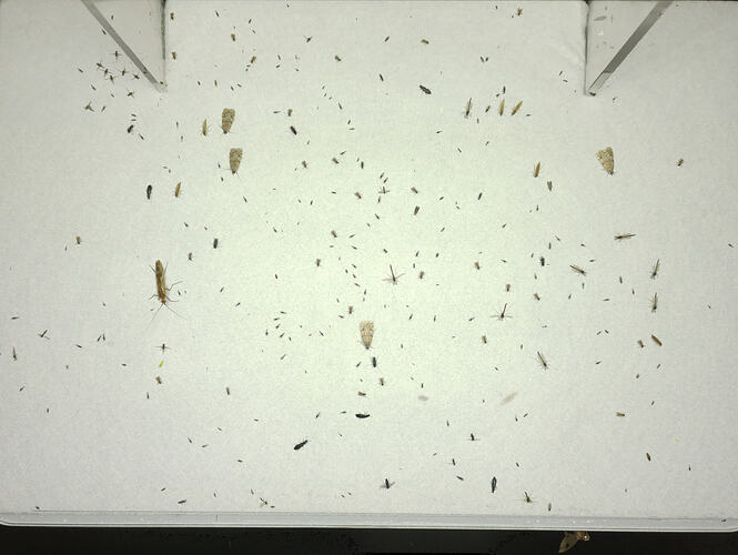 non_overlapping_composite2
